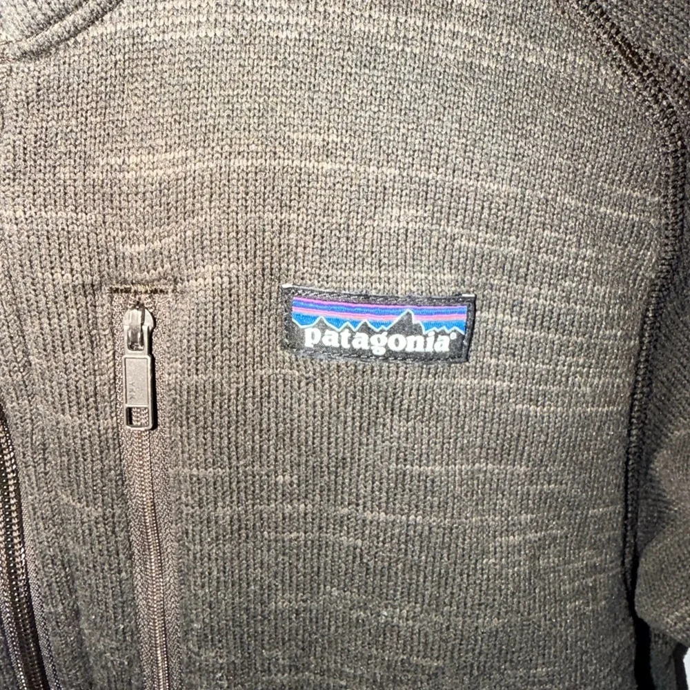 Patagonia stylish quarter